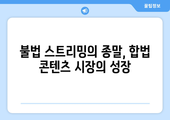 누누티비 퇴장: 넷플릭스 대안으로서의 의미