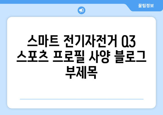 스마트 전기자전거 Q3 스포츠 프로필 사양