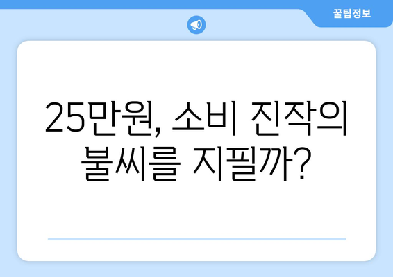 경제 회생의 원동력: 25만원 지원금에 거는 기대