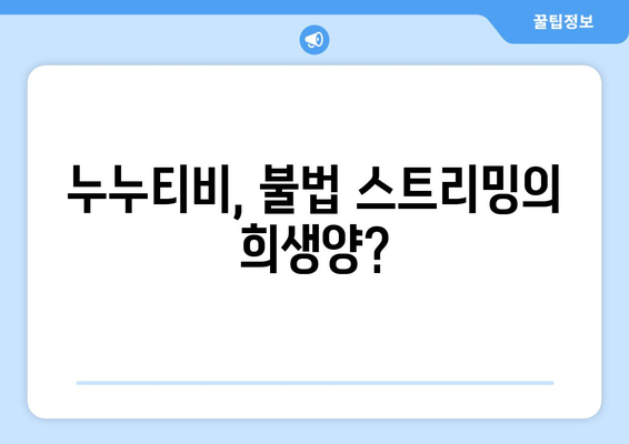 누누티비가 불법 스트리밍의 희생양인가?