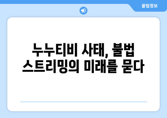 누누티비가 불법 스트리밍의 희생양인가?