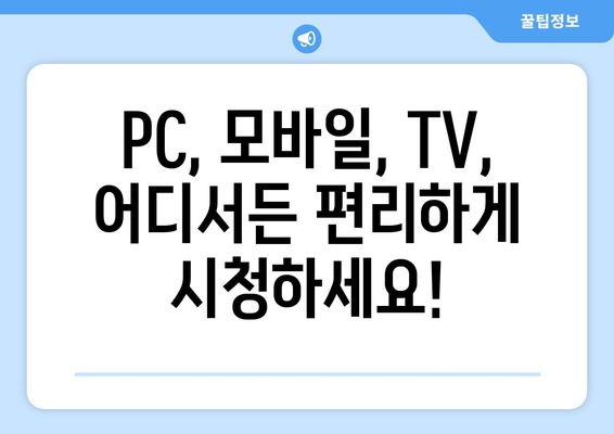 SPOTV 고화질 무료 프로야구 중계 시청 가이드