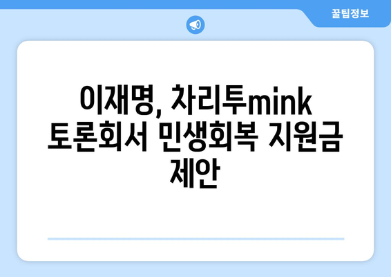 차리투mink 민생 토론회에서 이재명의 민생회복지원금 제안