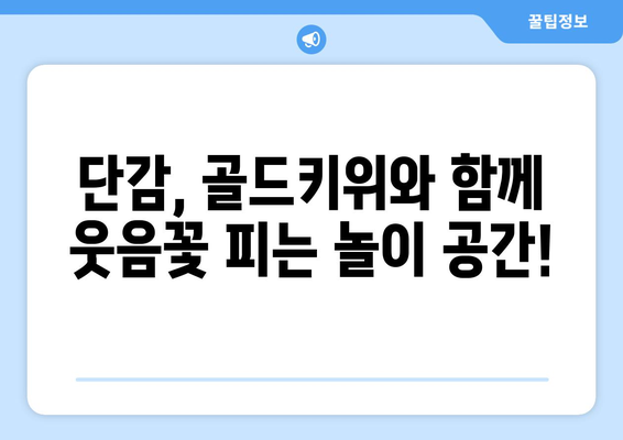 단감, 골드키위, 놀이로 즐거운 시간