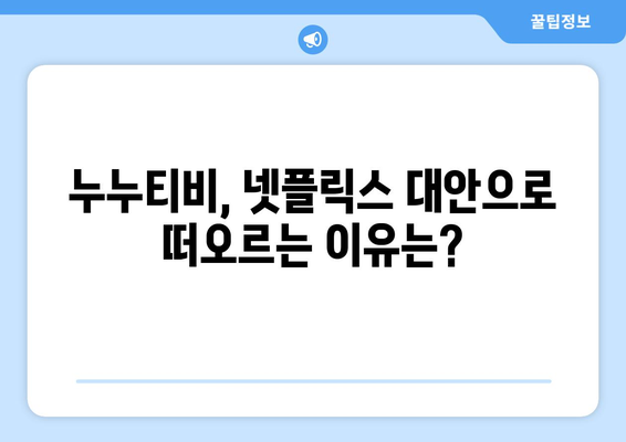 누누티비가 넷플릭스의 대안으로 부상? 법적 영향 고려하세요