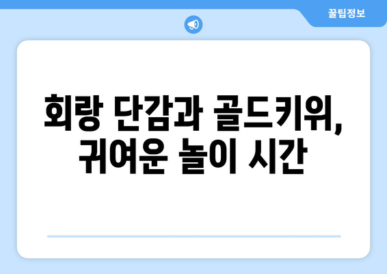 놀아주세요를 하는 회랑 단감과 골드키위