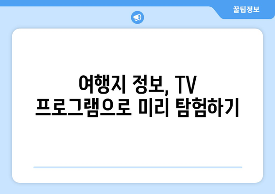 여행 중에 보는 TV 프로그램