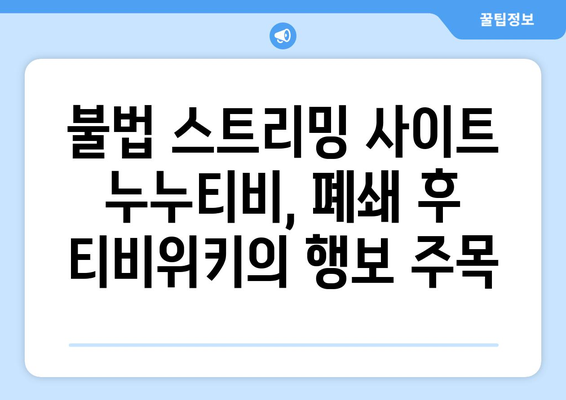 티비위키 부활의 징조? 시즌 2 서비스 종료를 맞은 누누티비