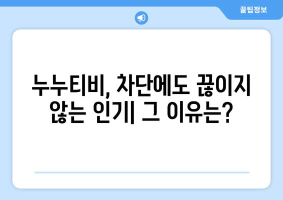 차단에도 이어지는 불법 스트리밍: 누누티비 시리즈의 승리