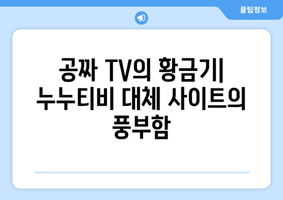 공짜 TV의 황금기: 누누티비 대체 사이트의 풍부함