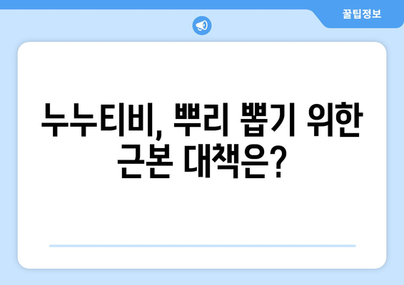 누누티비 차단: 정부의 뒤늦은 대응