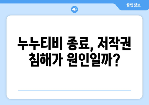 누누티비 종료 이유: 대체 원인 탐구