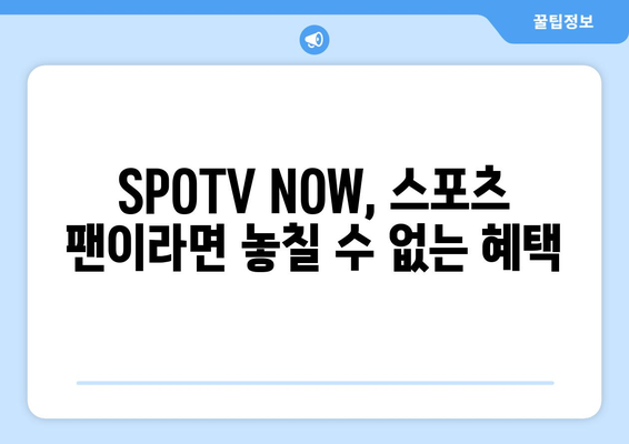 SPOTV 무료 이용 방법 및 SPOTV NOW 가격 안내