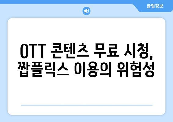 짭플릭스 영화 드라마 OTT 콘텐츠 다시보기 서비스[누누티비 대체 사이트 분석]