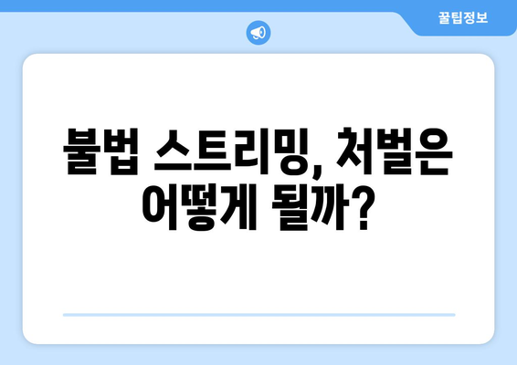 누누티비 대체: 실시간 시청부터 처벌까지