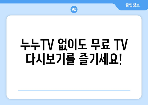 무료 TV 다시보기 대체 수단: 누누TV 대체 사이트