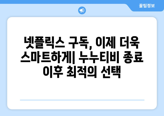 넷플릭스 대체로 최적화: 누누티비 종료 후 대안 탐구