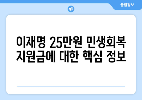 이재명 25만원 민생회복 지원금 차등 지급 및 신청 절차