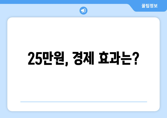 25만원 민생회복지원금의 논란과 갈등