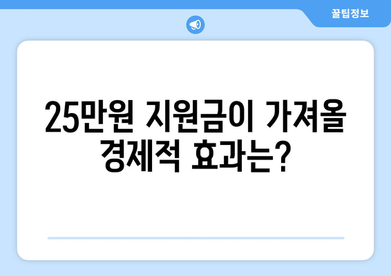 25만원 지원금 지급에 따른 경제적 고려사항