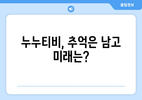 누누티비 후계자 추측과 대안 사이트 가능성