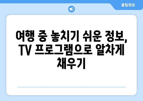 여행 중에 보는 TV 프로그램