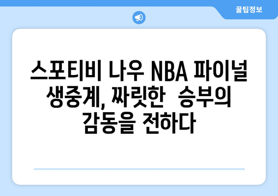 스포티비 나우 NBA FINAL 생중계 관람 후기