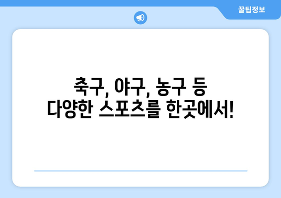 빠른티비: 모든 스포츠를 한곳에