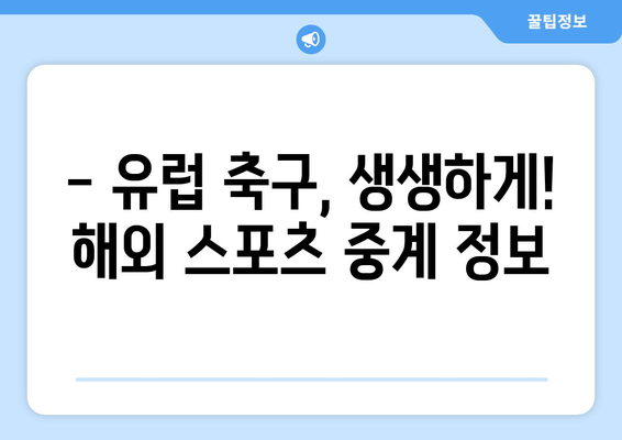 유로 2024 중계 및 해외 스포츠 중계 안내