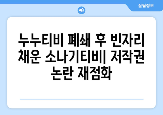 누누티비 서비스 종료 후 소나기티비 등장