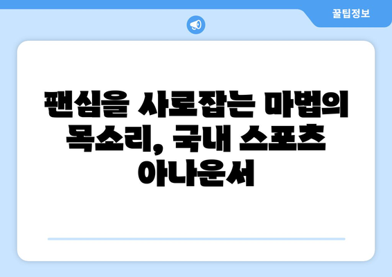 국내 스포츠 아나운서 네임드 소개