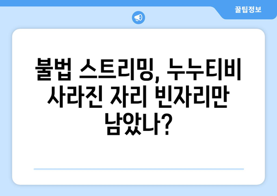 누누티비 대체 사이트 자진 종료