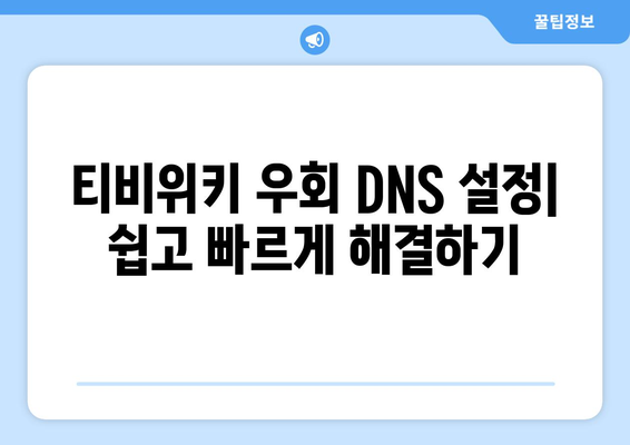 티비위키 주소 우회를 위한 DNS 설정 방법