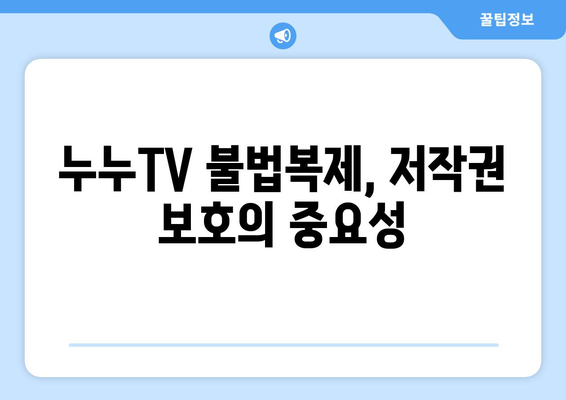 누누TV 불법복제 사이트 폐쇄, 대체 플랫폼 탐색