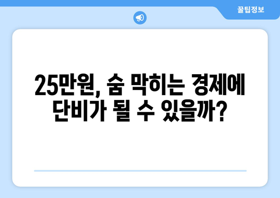 1인당 25만원 지원금 지급: 경제에 미치는 잠재적 영향