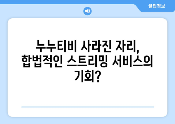 누누티비 수익 분석 및 대체 서비스 출현