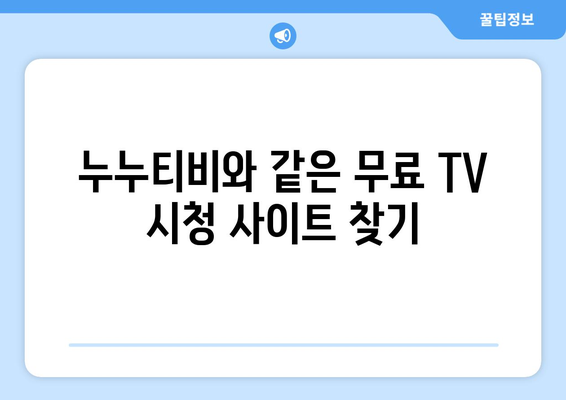 누누티비 대신 공짜 TV 시청 가능한 대안 사이트 찾기