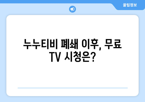 누누티비 폐쇄 이후 나타난 공짜 TV 누누TV 대체 사이트