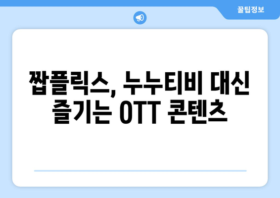 누누티비 대안인 짭플릭스의 OTT 콘텐츠