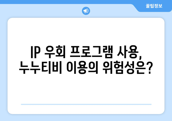 IP 우회 프로그램과 누누티비의 상승