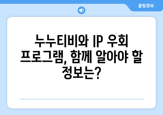 IP 우회 프로그램과 누누티비의 상승