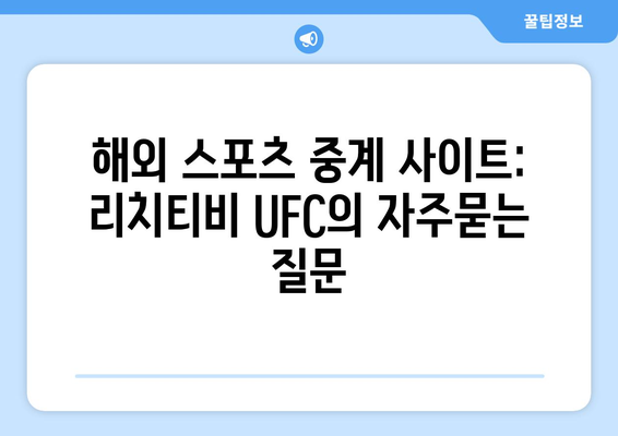 해외 스포츠 중계 사이트: 리치티비 UFC