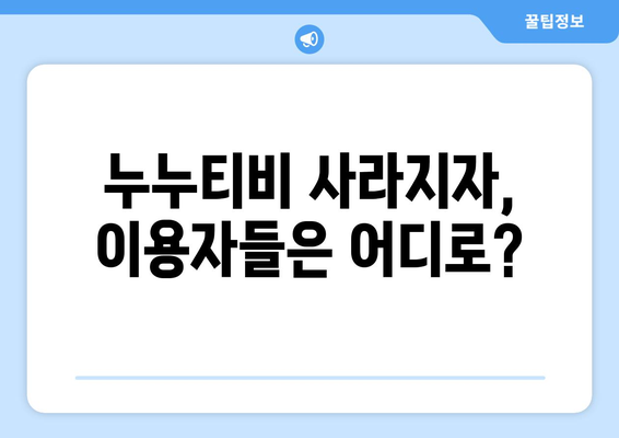 누누티비 333억 수익: 대체 서비스 등장