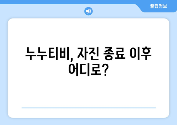 누누티비 자진 종료: 대체 사이트 등장 기대감