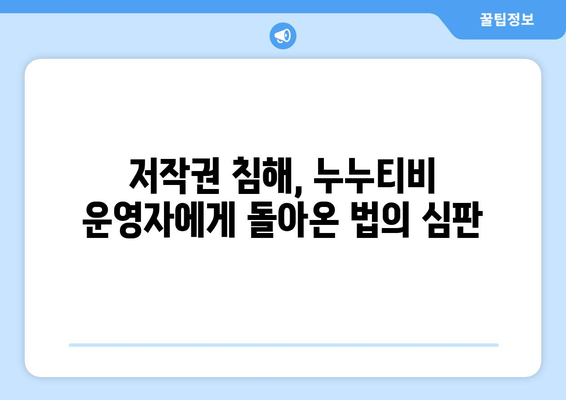 누누티비 운영자: 경찰 수사와 처벌