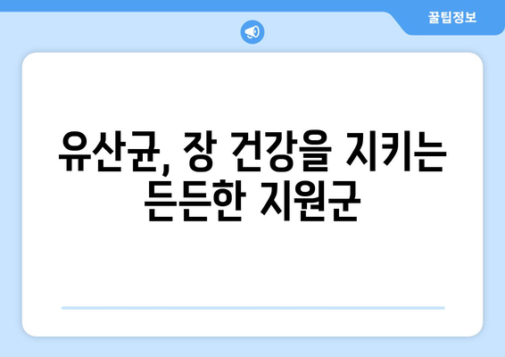 야채 국물과 유산균이 건강에 미치는 이점