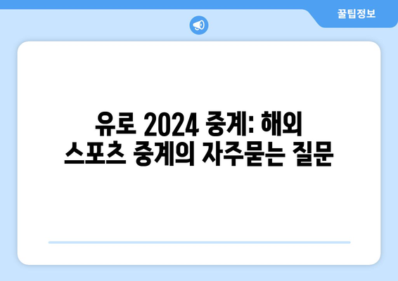 유로 2024 중계: 해외 스포츠 중계