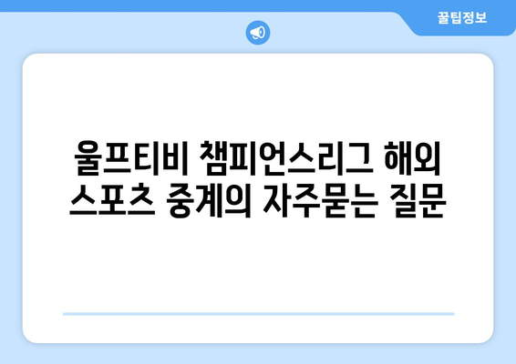 울프티비 챔피언스리그 해외 스포츠 중계