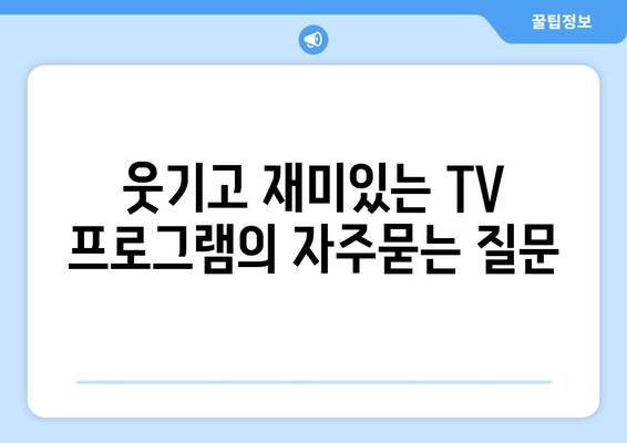 웃기고 재미있는 TV 프로그램