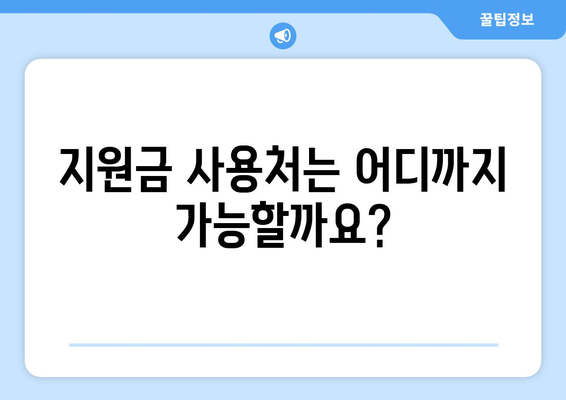 전국민에게 지급되는 25만원 민생지원금: 자세한 내용